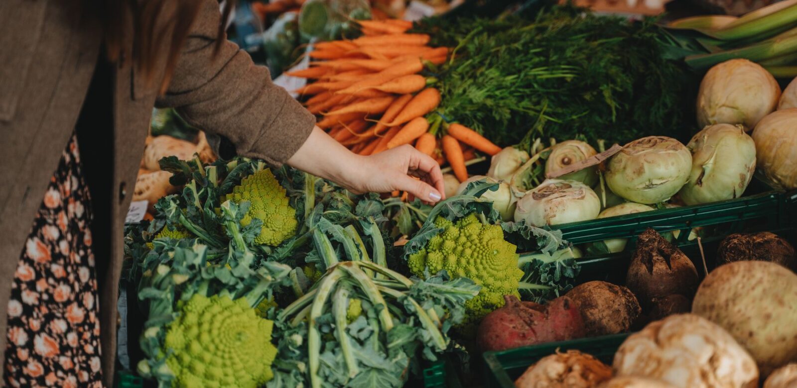 Hände greifen nach frischem Gemüse an einem Marktstand mit Möhren, Kohl und Kartoffeln