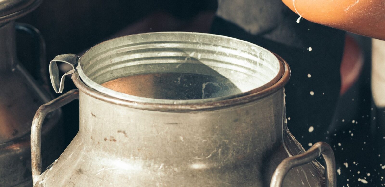 Nahaufnahme einer Milchkanne aus Edelstahl, in die Milch eingefüllt wird